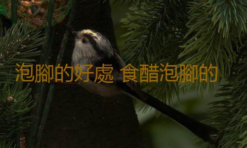 泡腳的好處 食醋泡腳的神奇功效